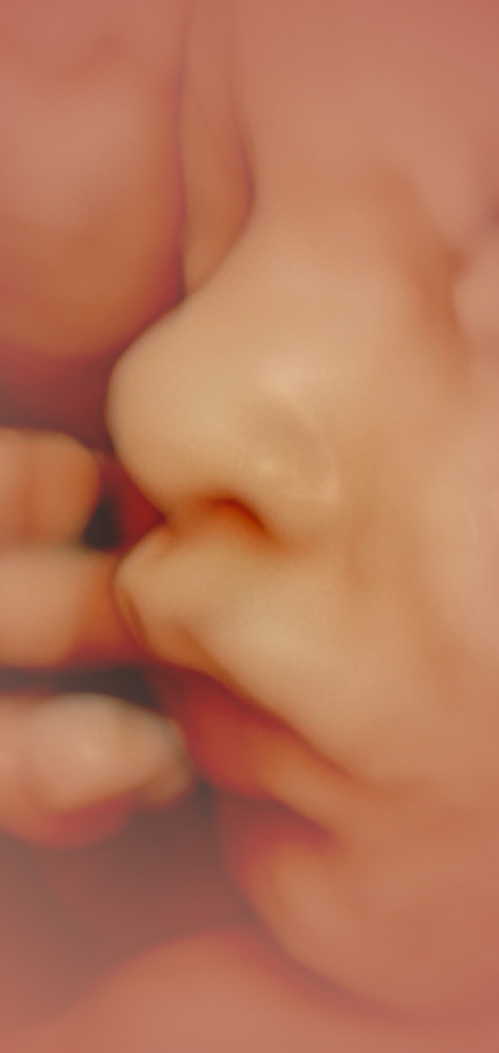 photo echographie bebe 4